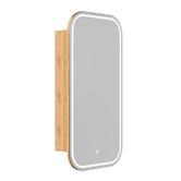 Temple &amp; Webster Soho 450mm Rectangular LED Mirrored Shaving Cabinet