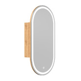 Temple &amp; Webster Soho 450mm Pill LED Mirrored Shaving Cabinet