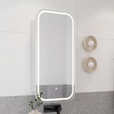 Temple &amp; Webster Soho 450mm Rectangular LED Mirrored Shaving Cabinet