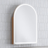 Temple &amp; Webster Soho 600mm Arch LED Mirrored Shaving Cabinet