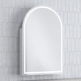 Temple &amp; Webster Soho 600mm Arch LED Mirrored Shaving Cabinet
