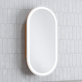 Temple &amp; Webster Soho 450mm Pill LED Mirrored Shaving Cabinet