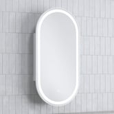 Temple &amp; Webster Soho 450mm Pill LED Mirrored Shaving Cabinet