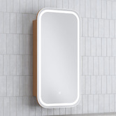 Temple &amp; Webster Soho 450mm Rectangular LED Mirrored Shaving Cabinet