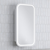 Temple &amp; Webster Soho 450mm Rectangular LED Mirrored Shaving Cabinet