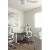 Temple &amp; Webster White &amp; Green Elite Ergonomic Office Chair with Headrest