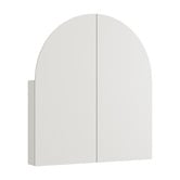 Temple &amp; Webster Mecca 800mm Arch Mirrored Shaving Cabinet