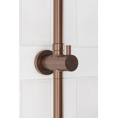 Temple &amp; Webster Clovelly Bronze Gooseneck Twin Shower