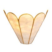 Temple &amp; Webster Mintie Scalloped Capiz Shell Wall Light