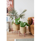 Temple &amp; Webster Maude Planter with Stand