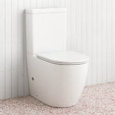 Temple &amp; Webster Delta Rounded Back to Wall Toilet Suite