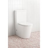 Temple &amp; Webster Delta Straight Back to Wall Toilet Suite