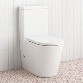 Temple &amp; Webster Delta Straight Back to Wall Toilet Suite
