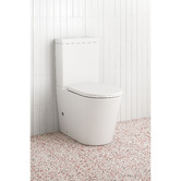 Temple &amp; Webster Delta Straight Back to Wall Toilet Suite
