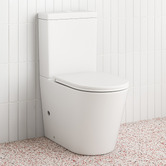 Temple &amp; Webster Delta Straight Back to Wall Toilet Suite