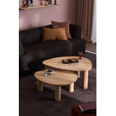 Temple &amp; Webster 2 Piece Nolan Nesting Coffee Table Set