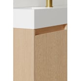 Temple &amp; Webster Havana 400mm Wall Hung Single Vanity with Integrated Basin