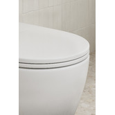 Temple &amp; Webster Delta Rounded Back to Wall Toilet Suite