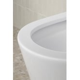 Temple &amp; Webster Delta Rounded Back to Wall Toilet Suite