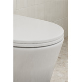 Temple &amp; Webster Delta Rounded Back to Wall Toilet Suite