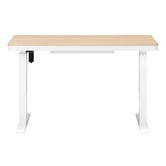 Temple &amp; Webster Leo Sit &amp; Stand Desk with Wireless Charging Station