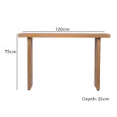 Temple &amp; Webster Felipe Console Table