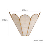 Temple &amp; Webster Mintie Scalloped Capiz Shell Wall Light