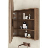 Temple &amp; Webster Bronte 600mm Arch Mirrored Shaving Cabinet