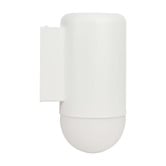 Temple &amp; Webster Ivor Frosted Glass Outdoor Wall Light
