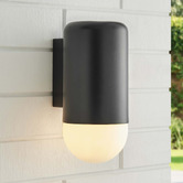 Temple &amp; Webster Ivor Frosted Glass Outdoor Wall Light