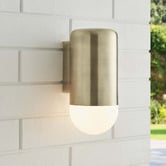 Temple &amp; Webster Ivor Frosted Glass Outdoor Wall Light