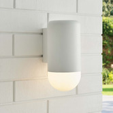 Temple &amp; Webster Ivor Frosted Glass Outdoor Wall Light