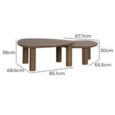Temple &amp; Webster 2 Piece Nolan Nesting Coffee Table Set