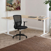 Temple &amp; Webster Leo Electric Sit &amp; Stand Corner Desk