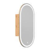 Temple &amp; Webster Nomad 410mm Freestanding Vanity Package with LED Shaving Cabinet &amp; Hook