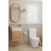 Temple &amp; Webster Bronte 450mm Pill Mirrored Shaving Cabinet