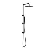 Temple &amp; Webster Carson Gooseneck Twin Shower