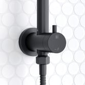Temple &amp; Webster Carson Gooseneck Twin Shower
