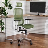Temple &amp; Webster White &amp; Green Elite Ergonomic Office Chair with Headrest