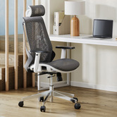 Temple &amp; Webster Grey Net Ergonomic Office Chair with Lumbar Support