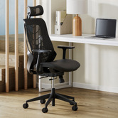 Temple &amp; Webster Evan Ergonomic Office Chair with Lumbar Support