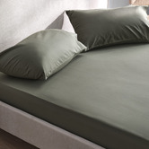 Temple &amp; Webster Juno Australian Cotton Fitted Sheet Set