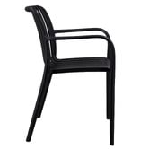 Temple &amp; Webster Airlie Outdoor Dining Chairs