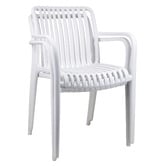 Temple &amp; Webster Airlie Outdoor Dining Chairs
