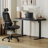 Temple &amp; Webster Evan Ergonomic Office Chair with Lumbar Support
