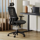 Temple &amp; Webster Evan Ergonomic Office Chair with Lumbar Support