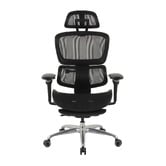 Temple &amp; Webster Ergoperform Mesh Office Chair with Footrest