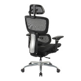 Temple &amp; Webster Ergoperform Mesh Office Chair with Footrest