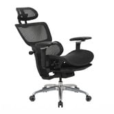 Temple &amp; Webster Ergoperform Mesh Office Chair with Footrest