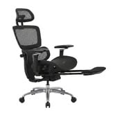 Temple &amp; Webster Ergoperform Mesh Office Chair with Footrest